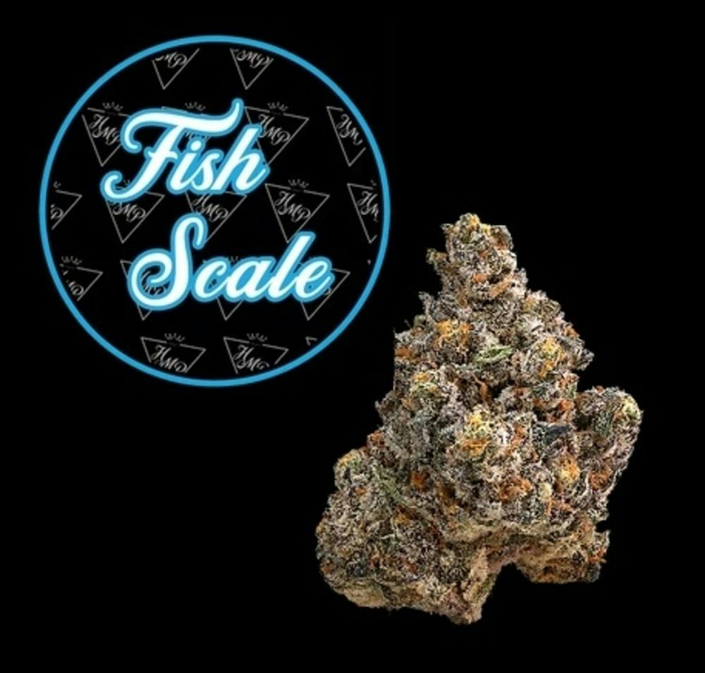 Fish Scale | 3.5g