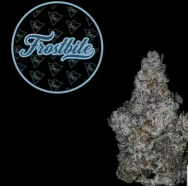 Frostbite | 3.5g
