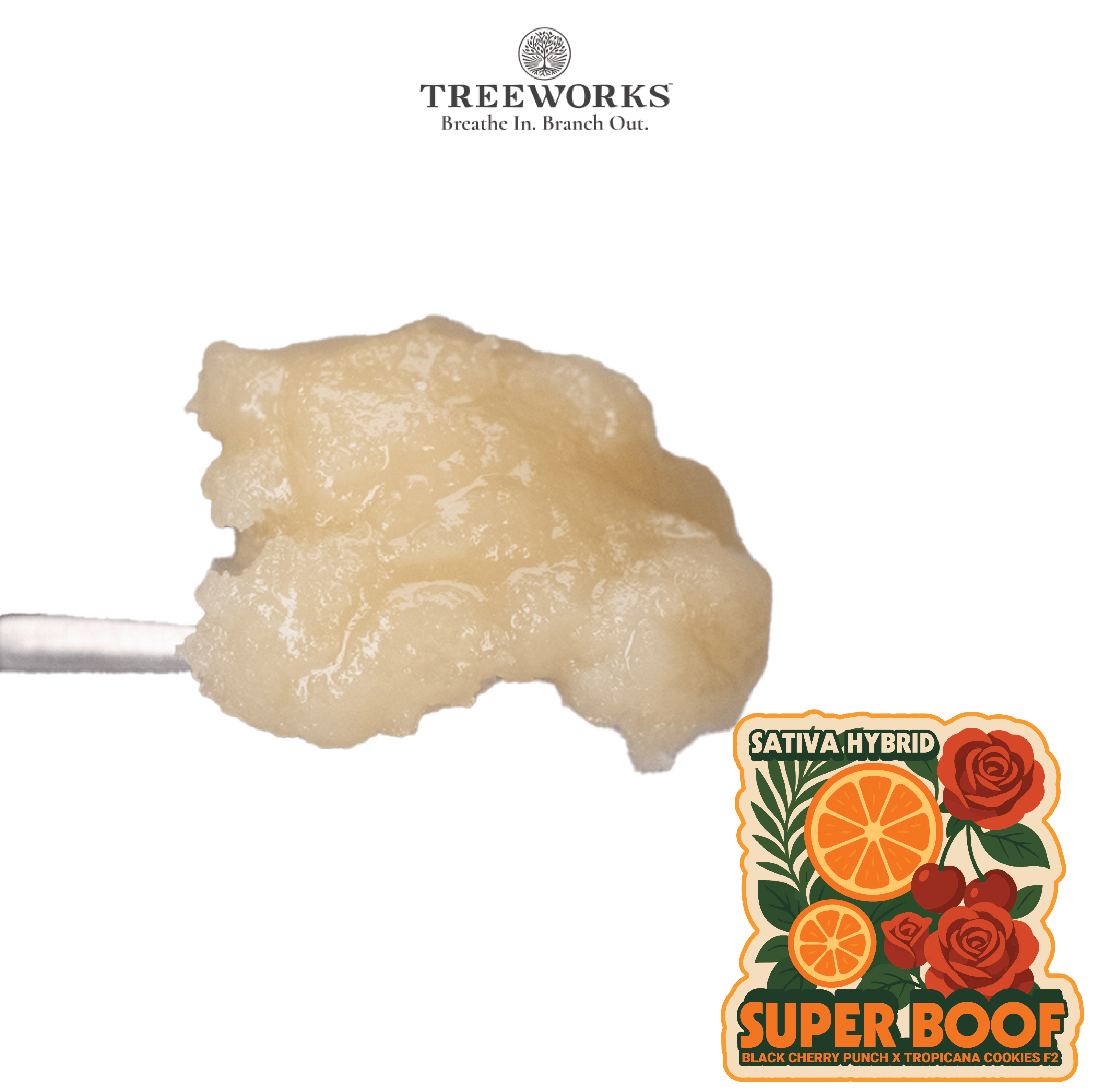 Super Boof | Solventless | Rosin | 1g