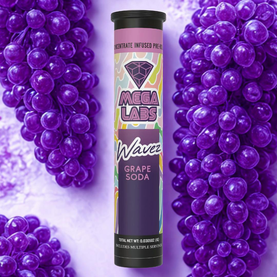 Wavez | Infused Joints | 1g