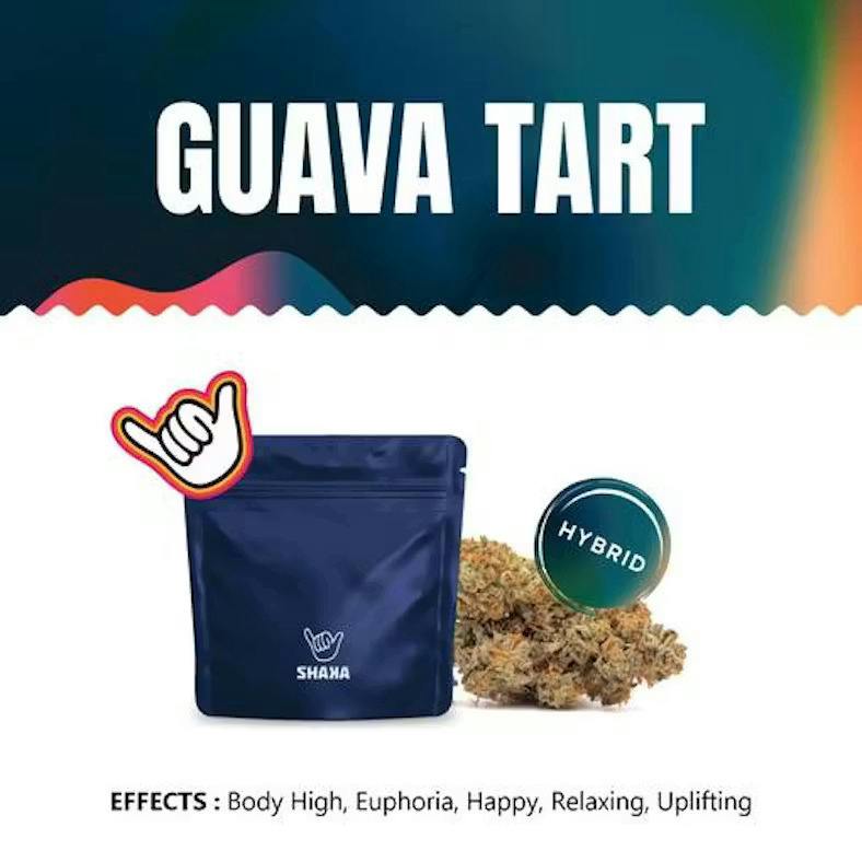 Guava Tart | 3.5g