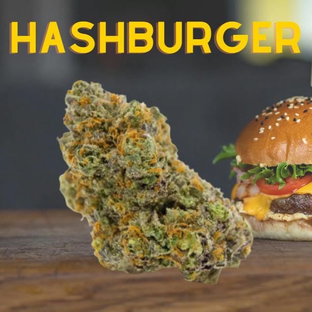 Hashburger | 3.5g at Nature's Medicines