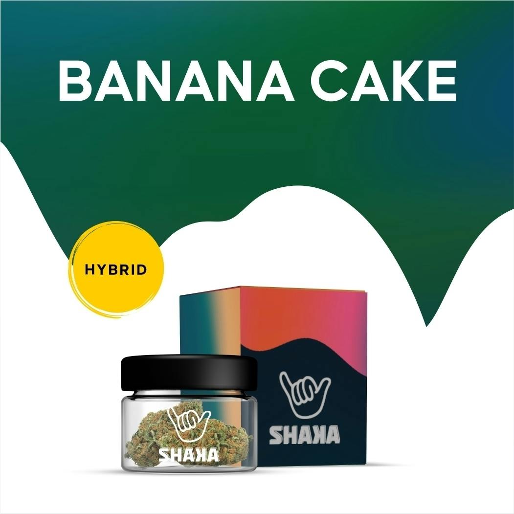 Banana Cake #20 | 3.5g at Zen Leaf Cannabis Dispensary