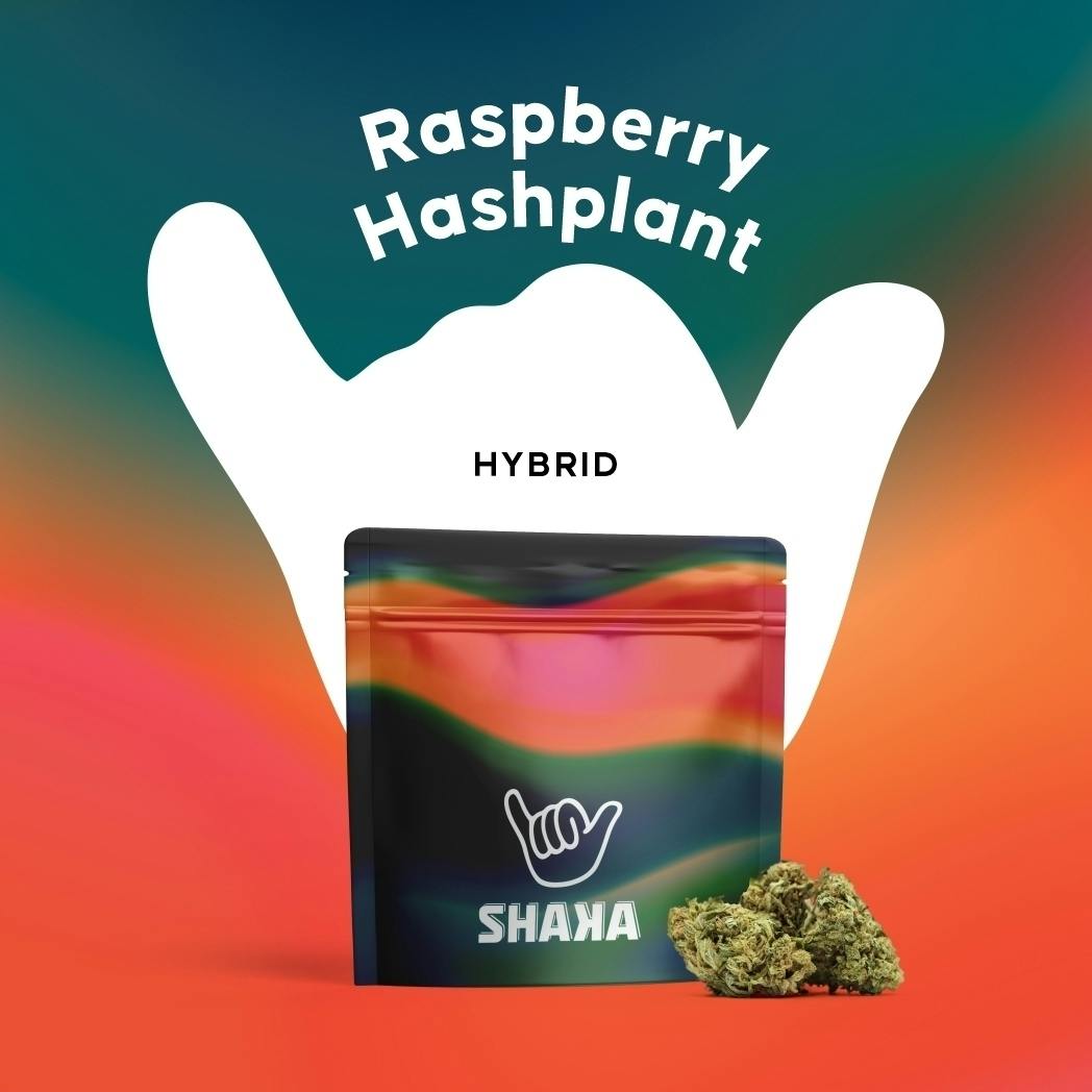 Raspberry Hashplant | 3.5g at Nature's Medicines