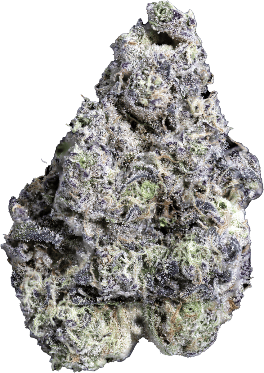 Gush Mints S1 #4 | Big Buds | 3.5g