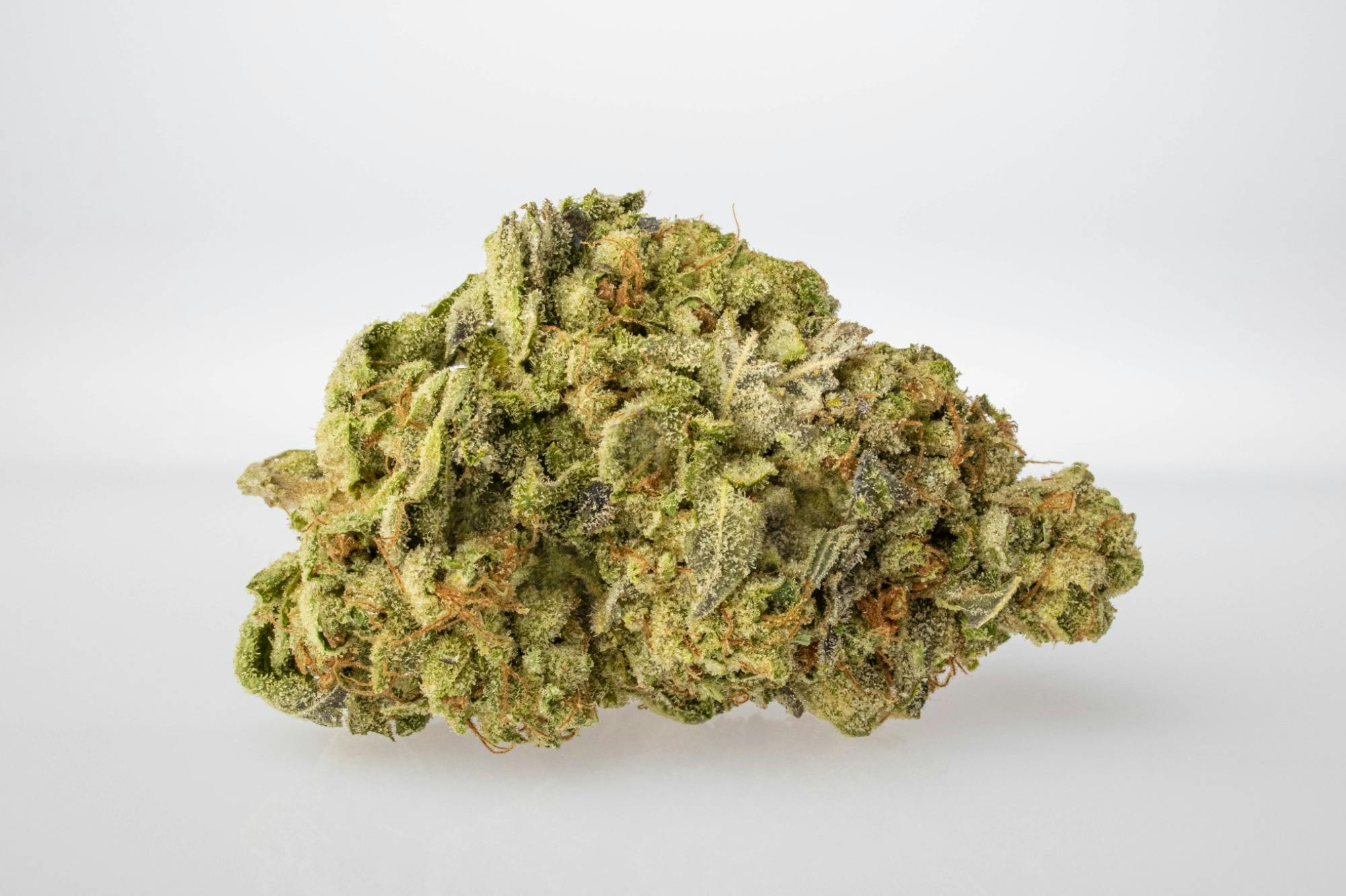 Zkittlez Kush | 1g at Garden Mother Dispensary