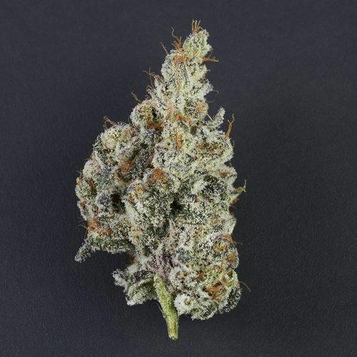 K Dynamite | 3.5g at Pioneer Valley Trading Company