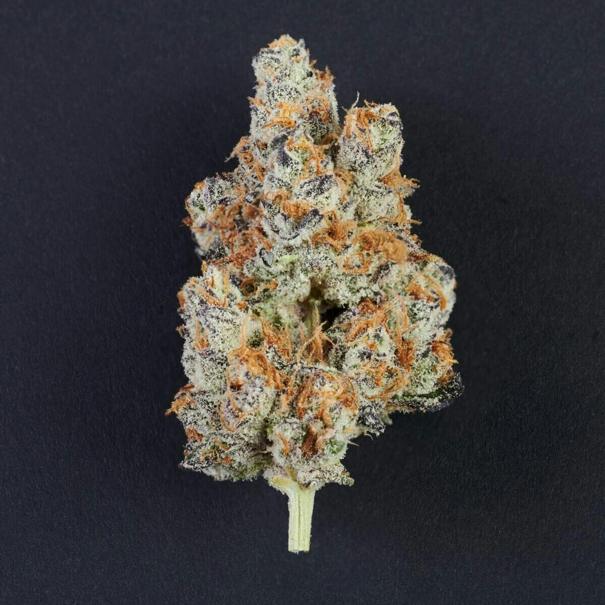 Garlic Breath | 3.5g