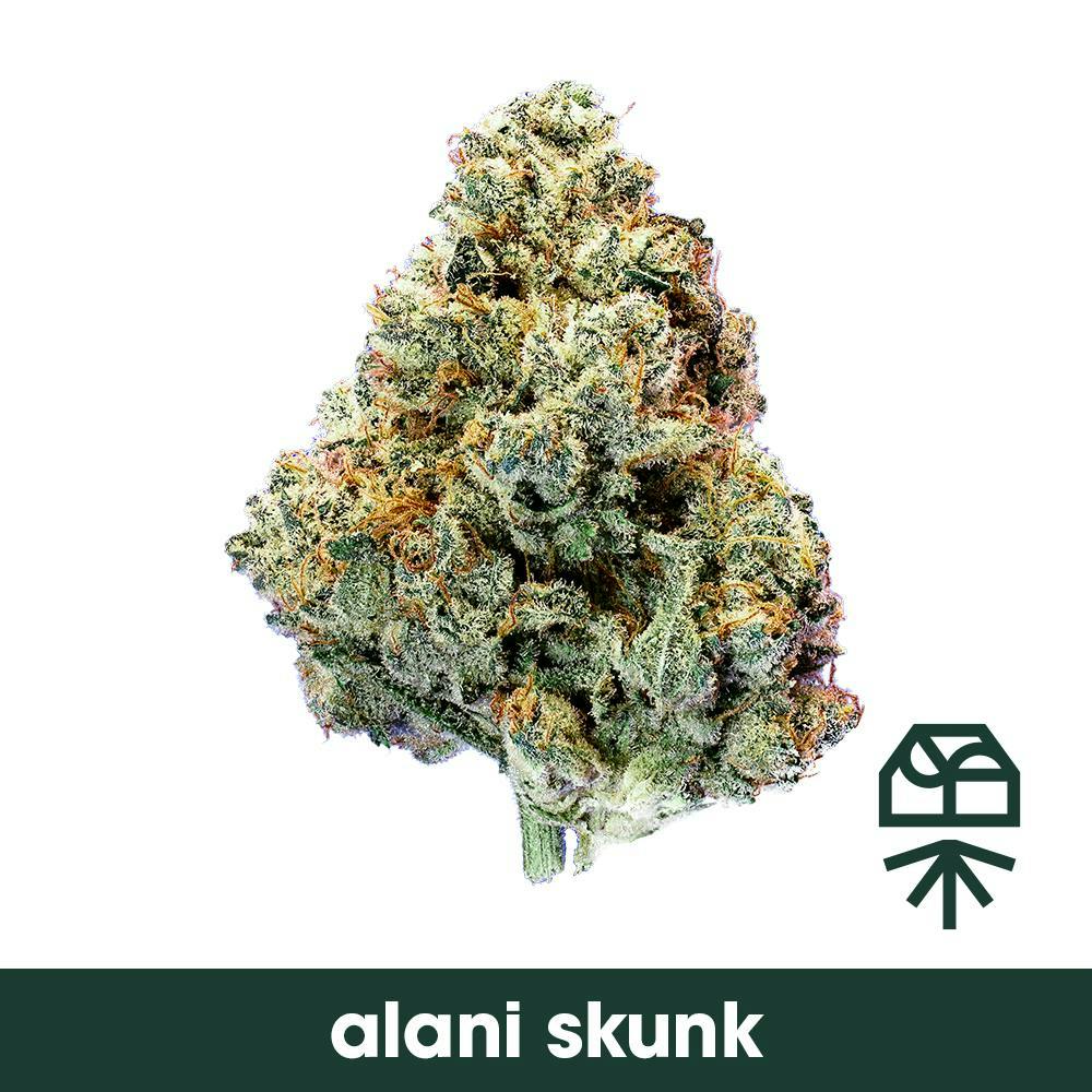 Alani Skunk Big Buds