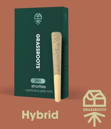 Animal Mint Cake | Infused Minis | 0.4g each | 5pk