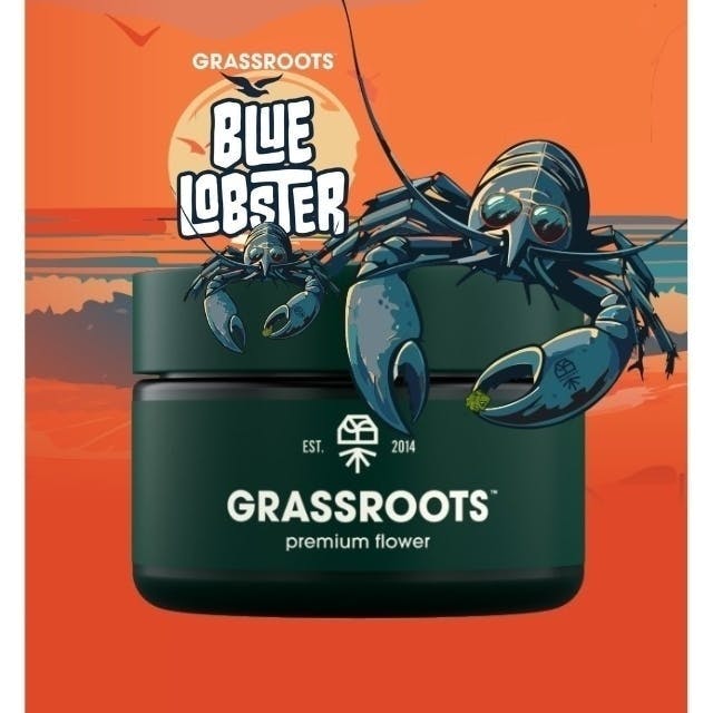 Blue Lobster | Big Buds | 3.5g at Dispensary Works
