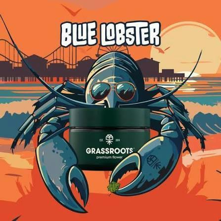 Blue Lobster | Big Buds | 7g by Grassroots