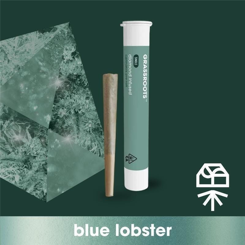 Blue Lobster | Infused Joint | 1g at Perception Cannabis