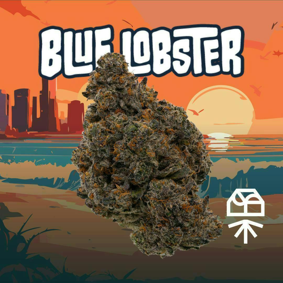 Blue Lobster | Smalls | 7g by Grassroots