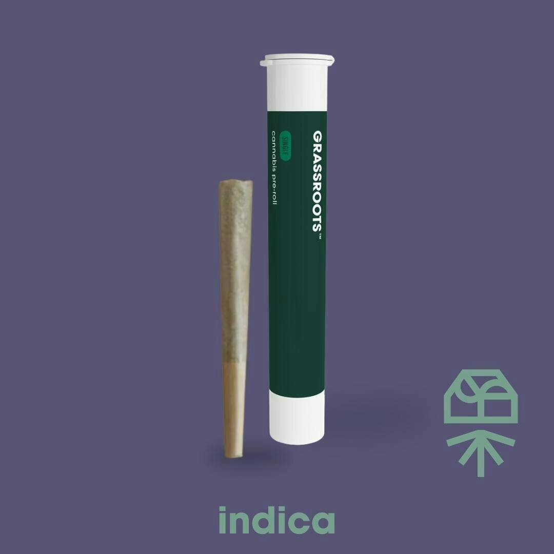 Cheddar Cheeze | Joint | 1g