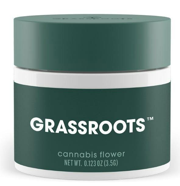 Collie Man Kush | Big Buds | 3.5g