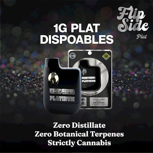 Brainfood Pancakes | Platinum Disposable | 1g by Flip Side