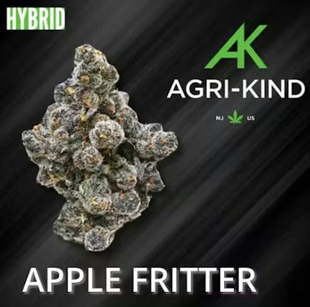 Apple Fritter | Big Buds | 3.5g