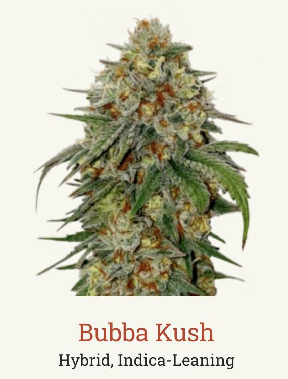 Bubba Kush | 3.5g