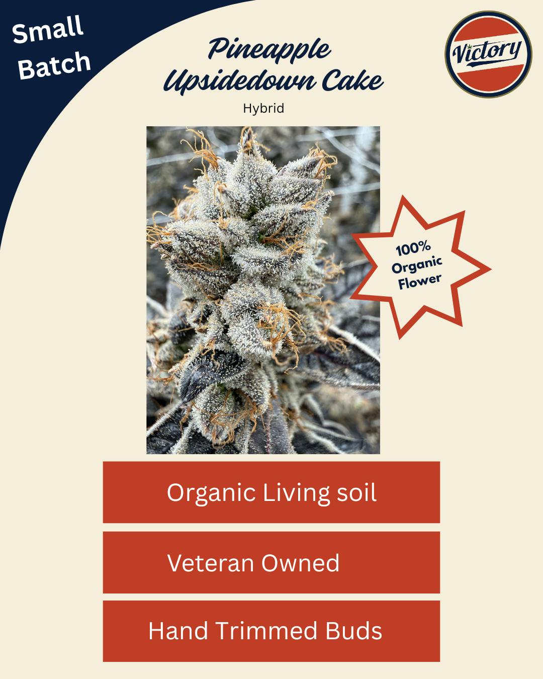 Pineapple Upside Down Cake | 3.5g