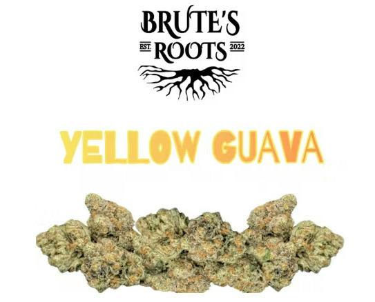 Yellow Guava | 3.5g