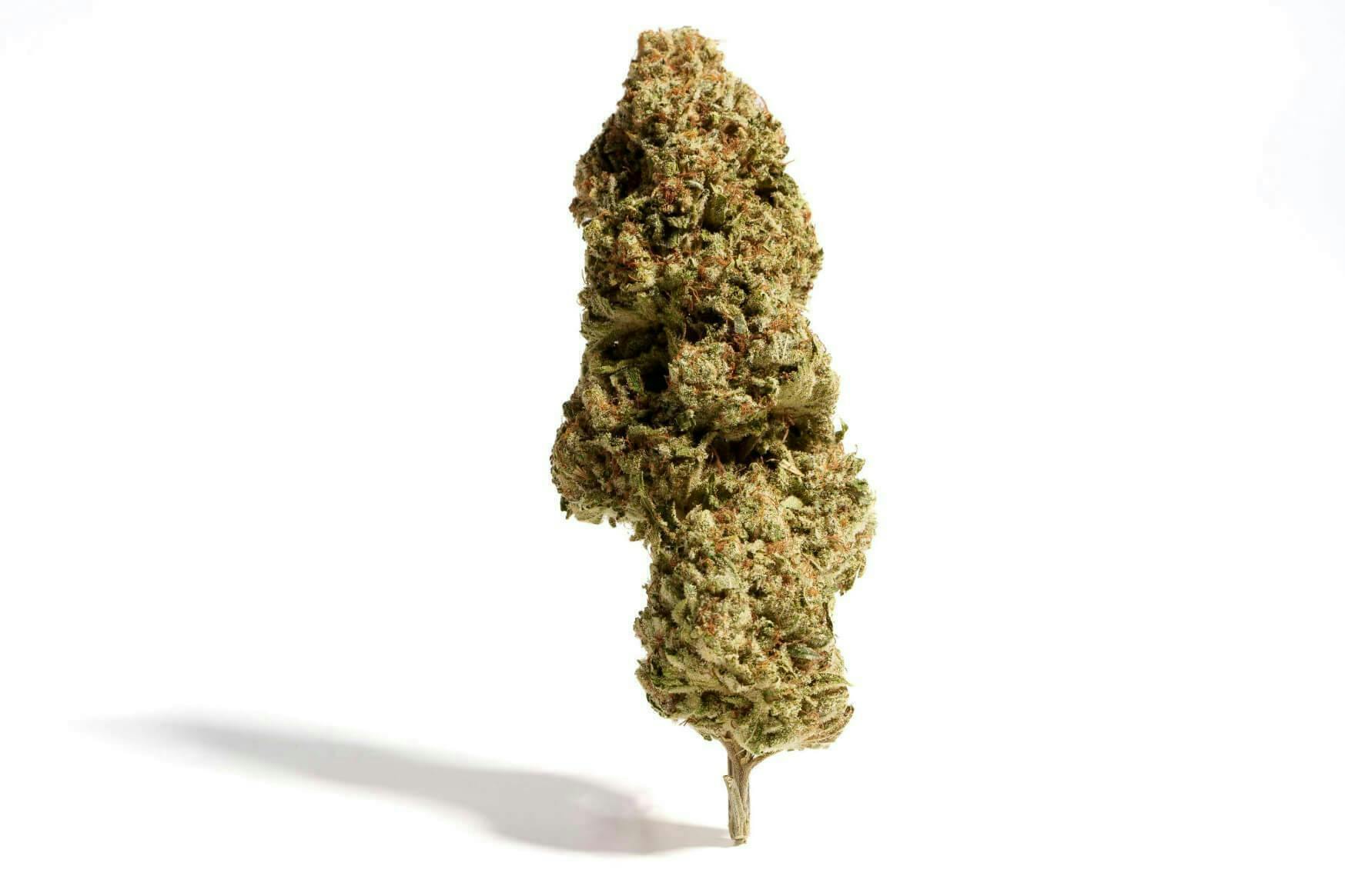 Cream Cake | 3.5g