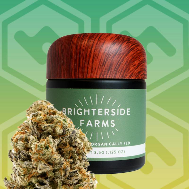 Brighterside Big Buds