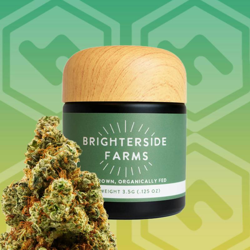 Roasted Garlic Margie | Big Buds | 3.5g