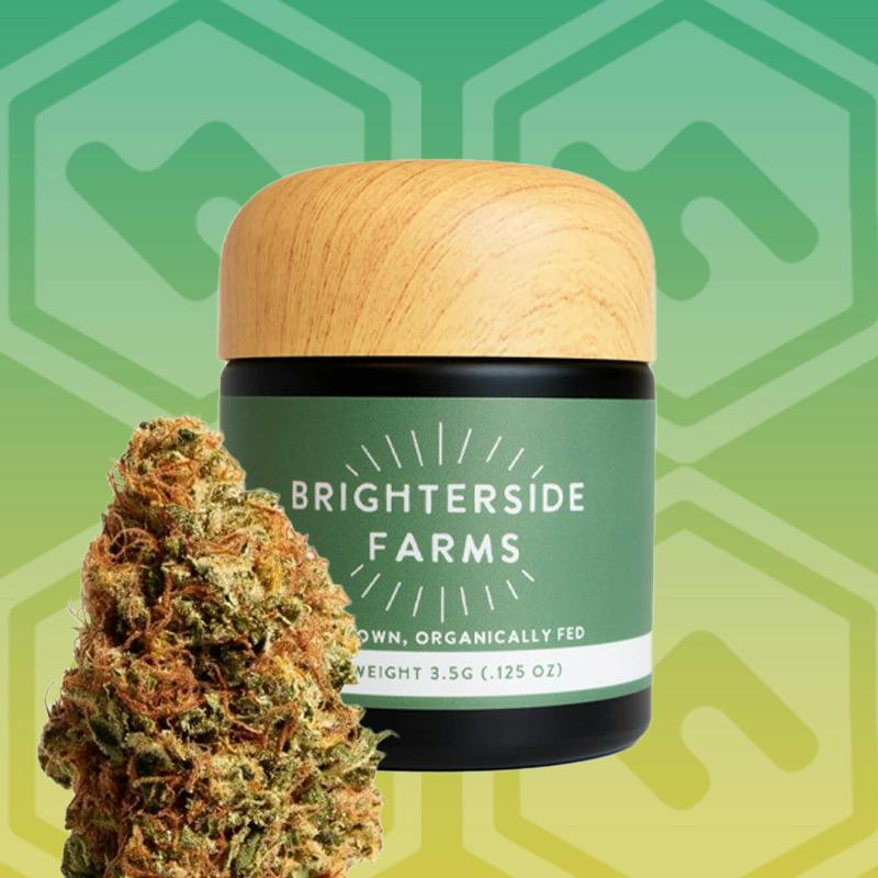 GH1 (Brighterside) | Big Buds | 3.5g
