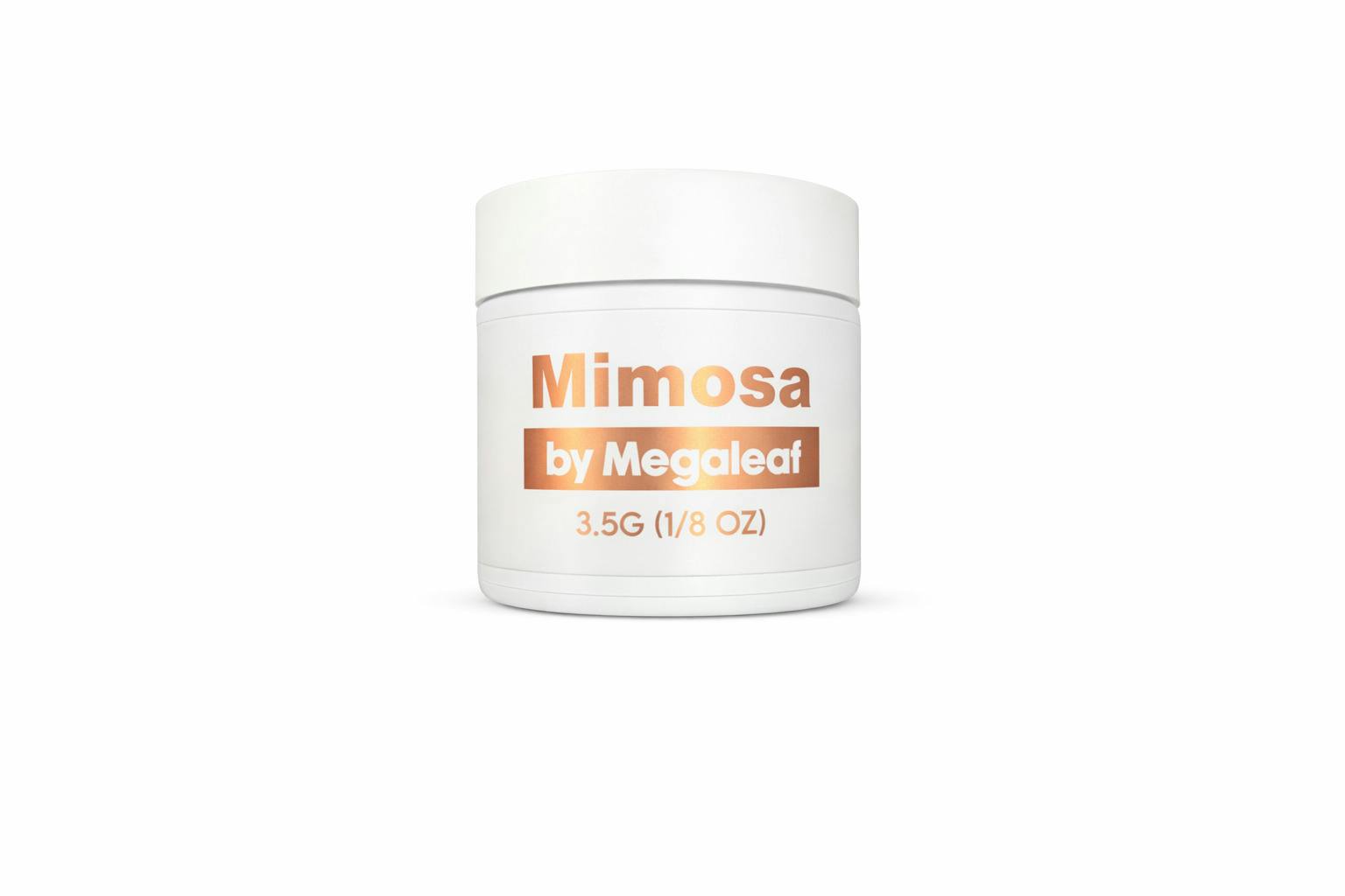 Mimosa Big Buds
