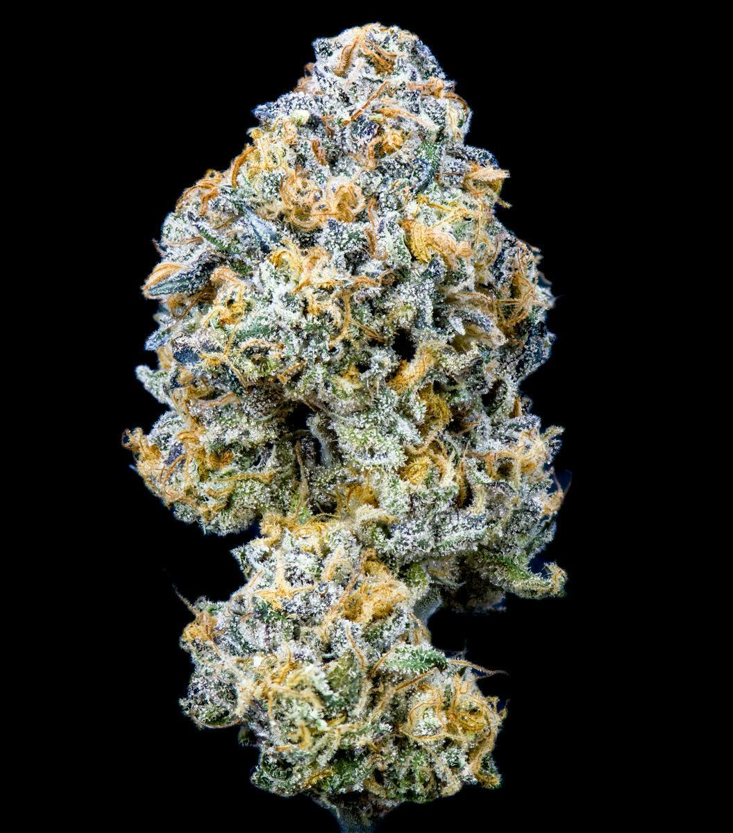 KOALA KUSH | 3.5g