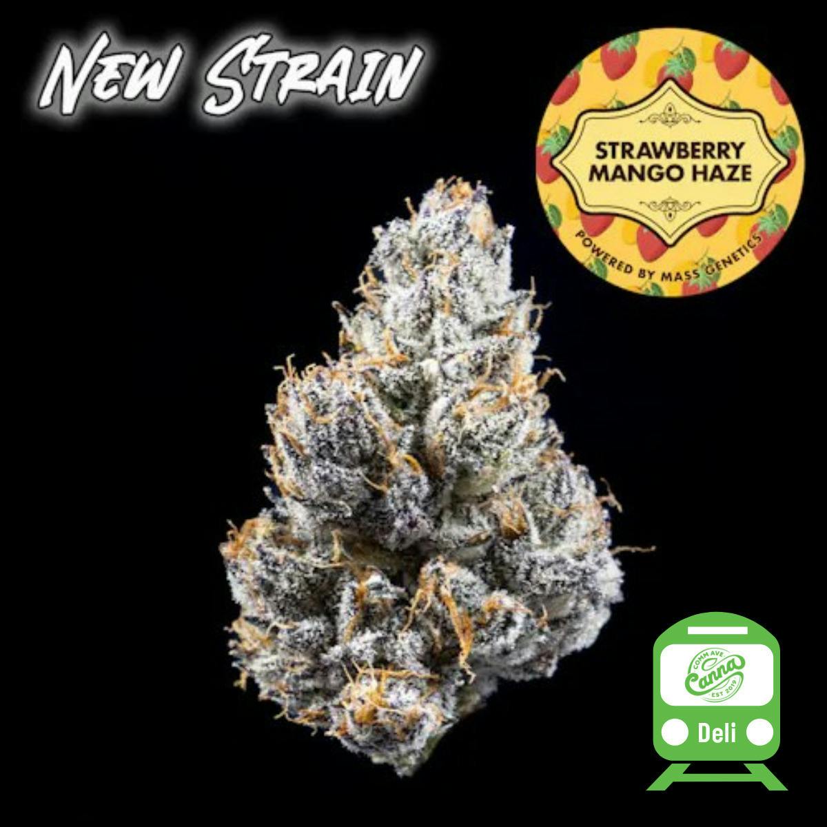 Strawberry Mango | 1g