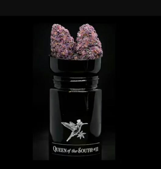 Queen of the South #11 | 7g