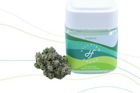 Grape Gas | Big Buds | 3.5g