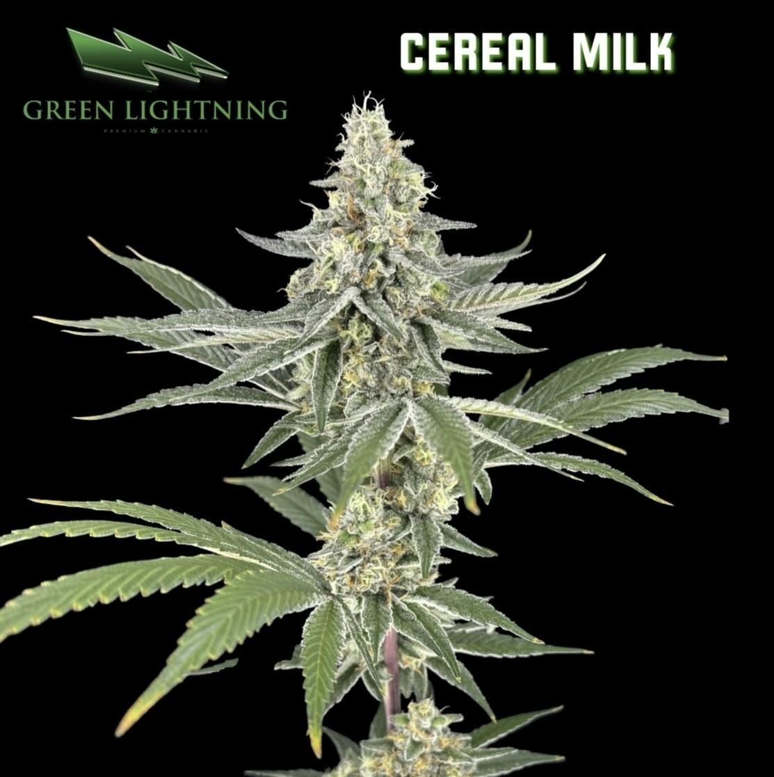 Cereal Milk (H) | 3.5g