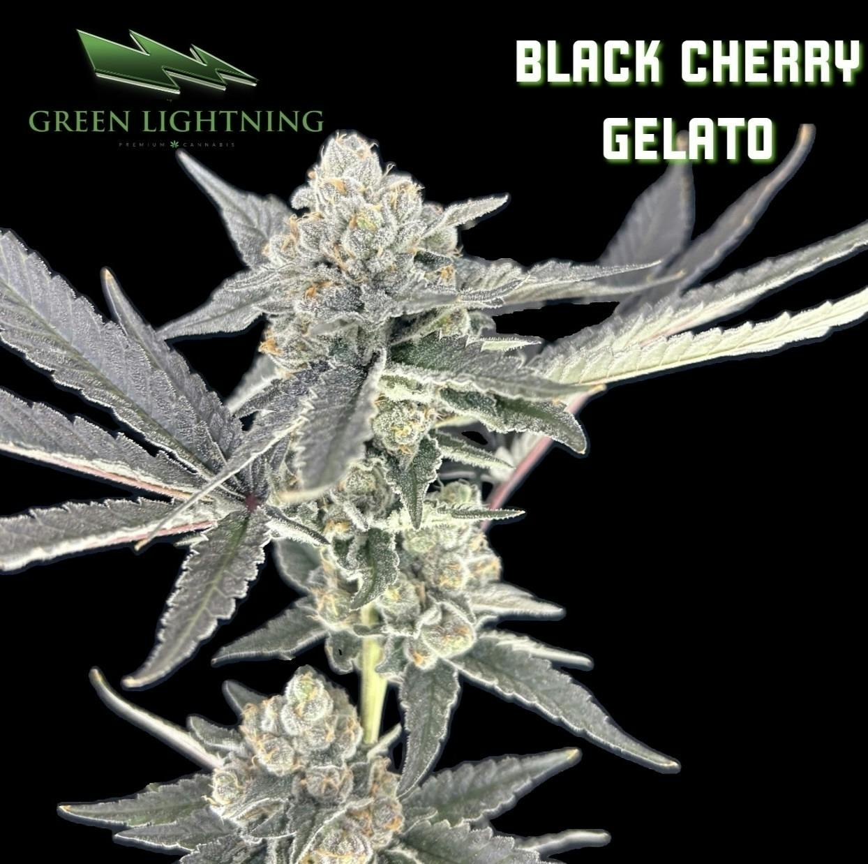 Black Cherry Gelato (I) | 3.5g