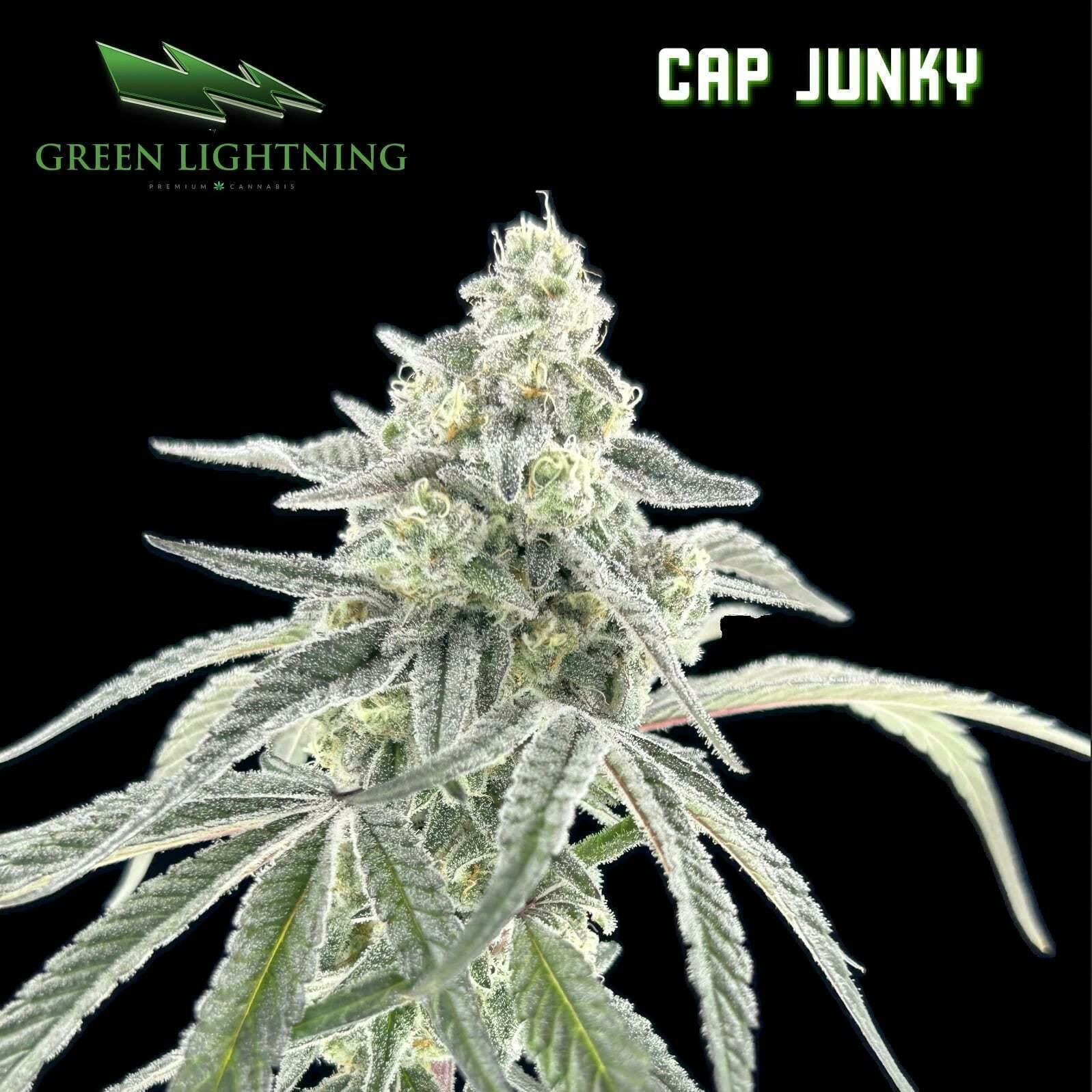 Cap Junky | Big Buds | 3.5436g