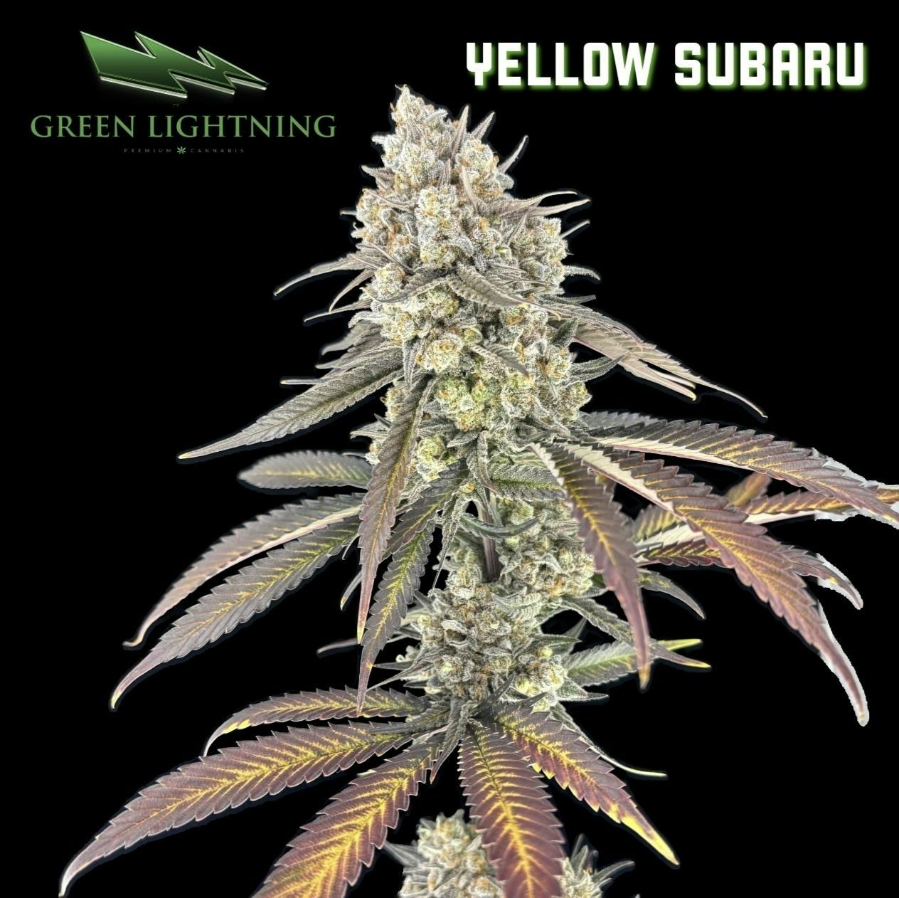 Yellow Subaru | Smalls | 7g