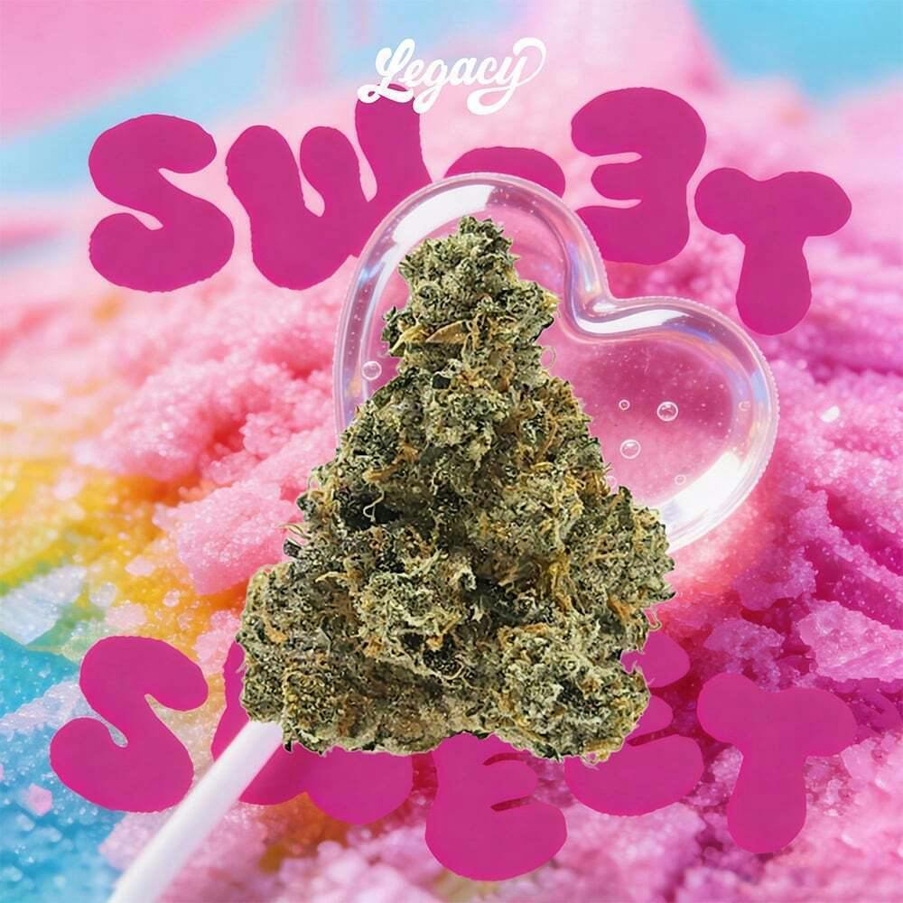 Sweet Sweet | Big Buds | 1g at Nirvana - Mount Carmel