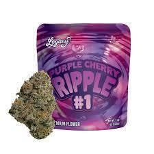 Purple Cherry Ripple #2 | Big Buds | 3.5g