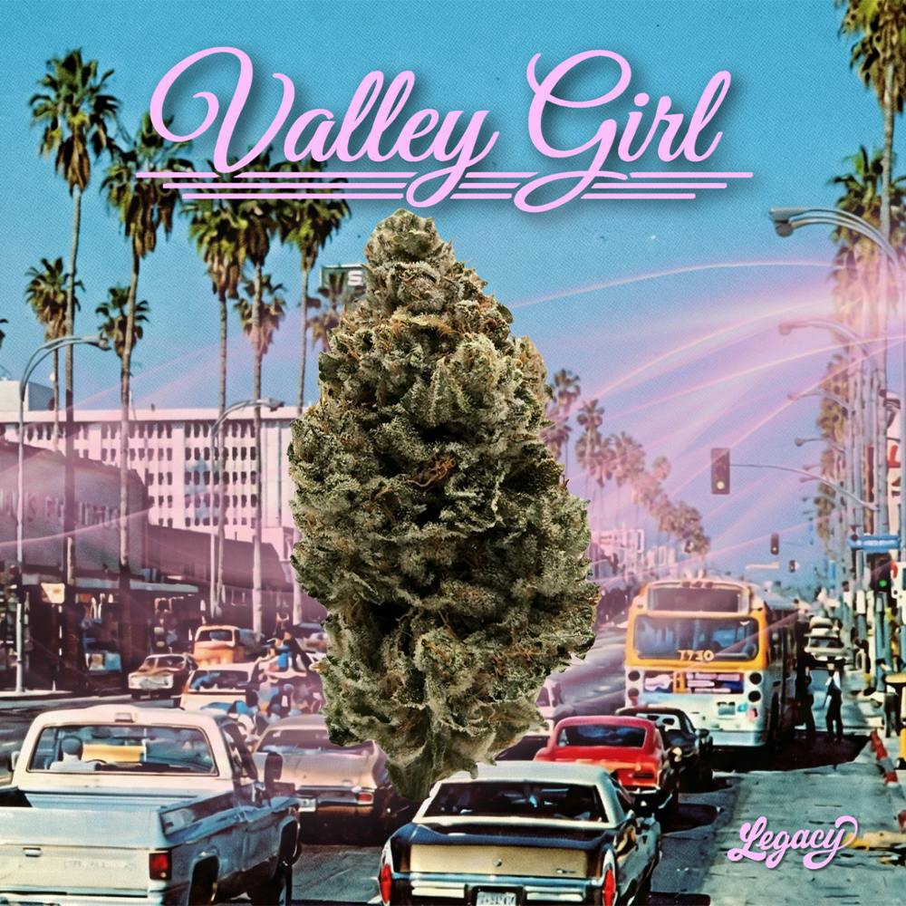 Valley Girl | Big Buds | 3.5g