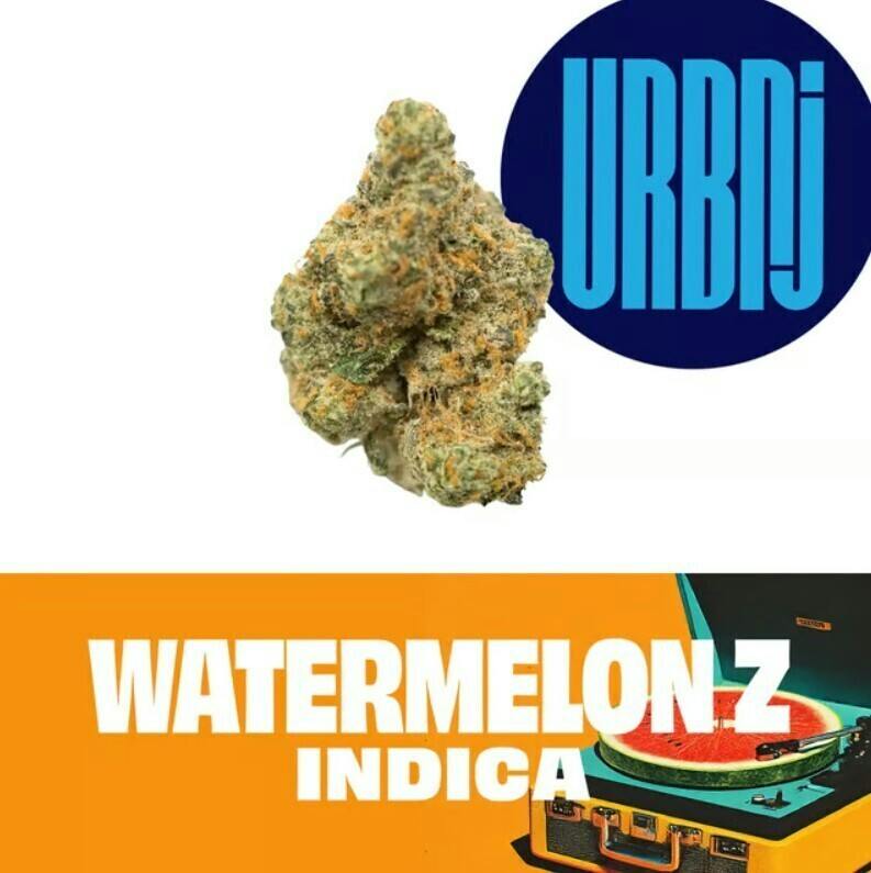 Watermelon Z | 14g