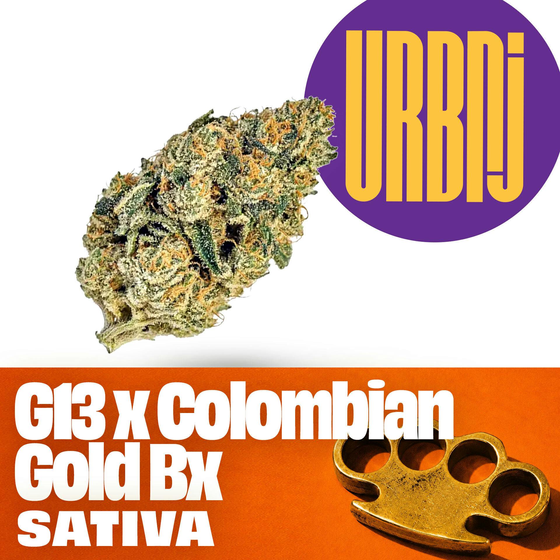 G13 x Colombian Gold | 2g at Shipwreck'd
