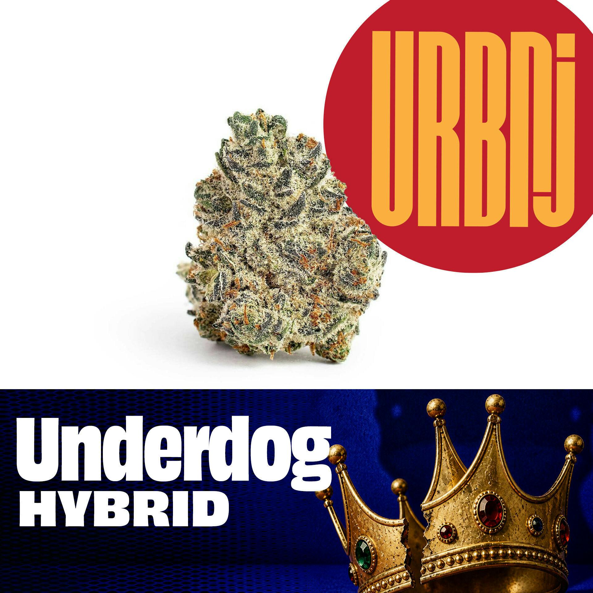Underdog | 14g