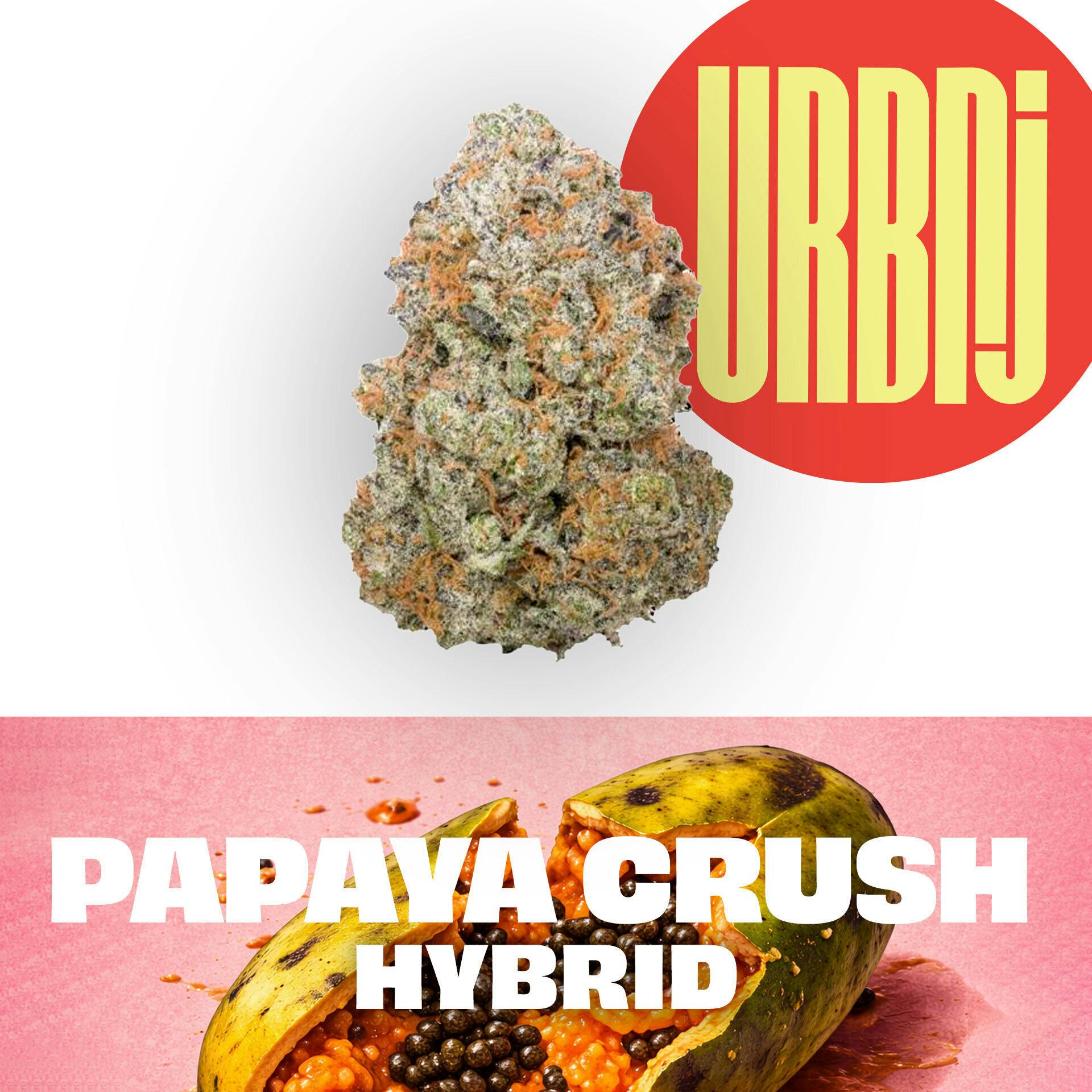 Papaya Crush | Big Buds | 2g
