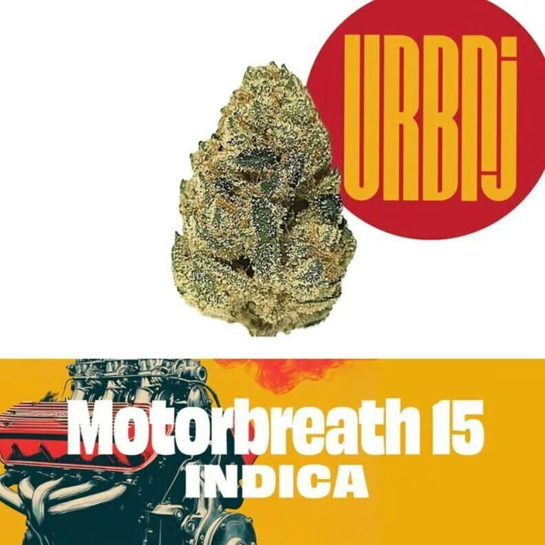Motorbreath 15 | 2g