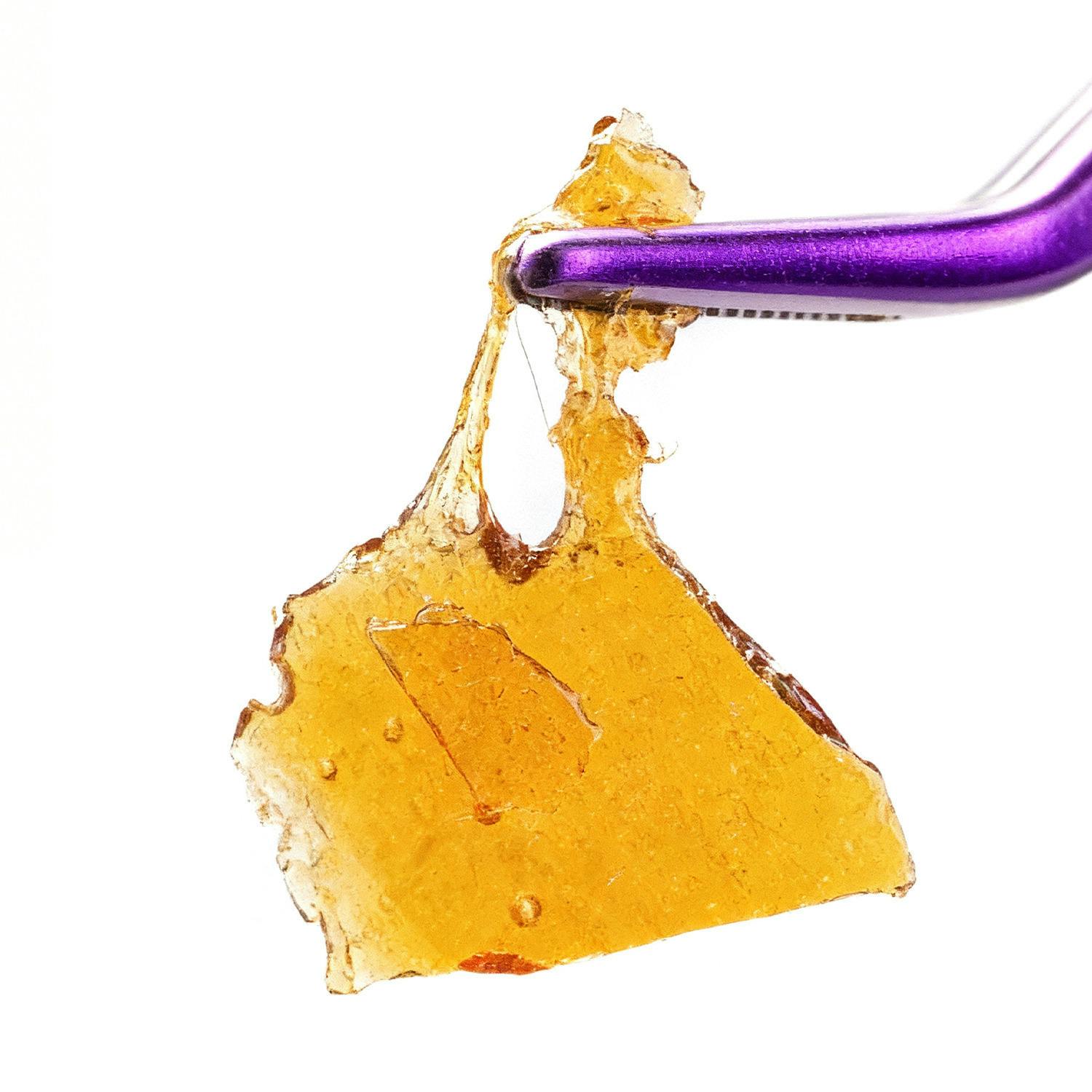 Poinsettia Fizz | Solvent | Shatter | 1g