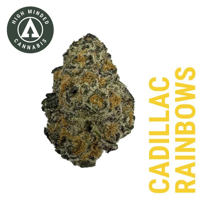 Cadillac Rainbow | 1g at Cloud Cannabis Gaylord Dispensary