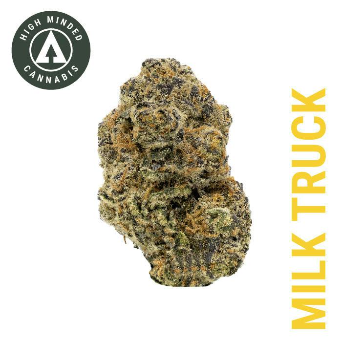 Milk Truck | 1g at Timber Cannabis Co Big Rapids Dispensary