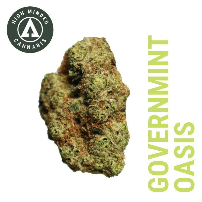 Governmint Oasis | 1g at Cloud Cannabis Gaylord Dispensary